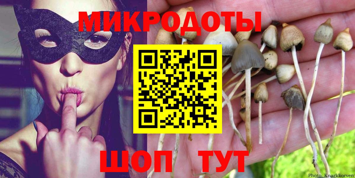 Балашиха  Псилоцибиновые грибы MAGIC MUSHROOMS  Вход с VPN  Псилоцибиновые грибы GOLDEN TEACHER 